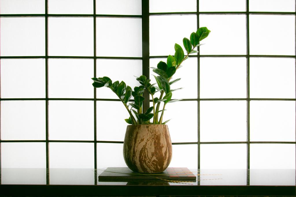 Hosta Nijo Aoi Villa Киото Екстериор снимка